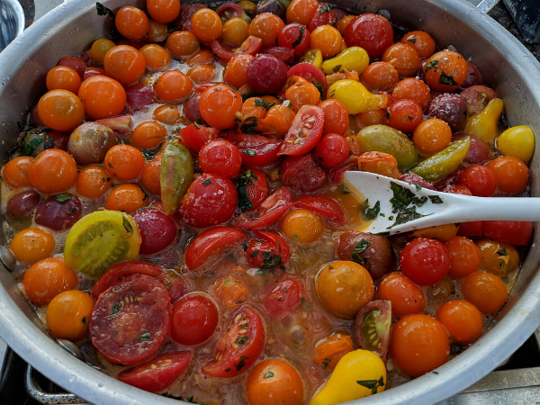 烹饪西红柿